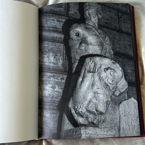 COPY - Beaten And Blown By The Wind - Picture 2 of 4